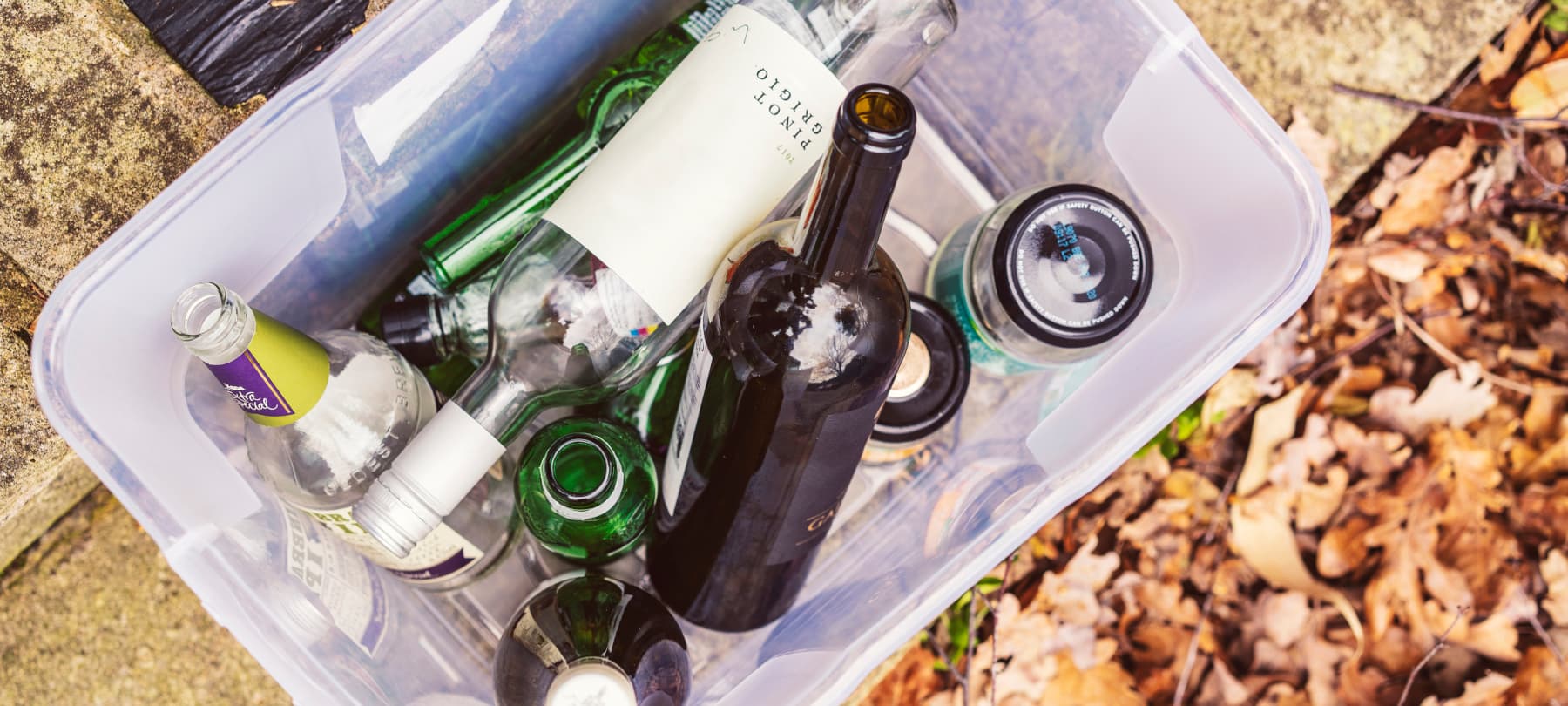 Cwestiynau cyffredin